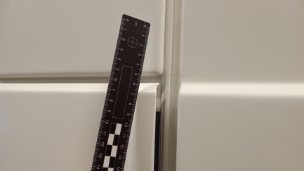 Zdjęcie przedmiotu: DAF XF 480 FT Super Space Cab Low Deck E6 21.0t Oświadczenie o utracie DR