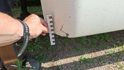 Zdjęcie przedmiotu: WIELTON NS 3 36.0t Mega