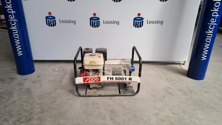 Портативний генератор FOGO FH 6001 R