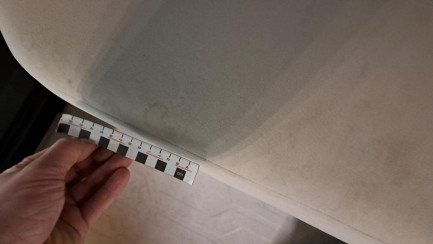 Zdjęcie przedmiotu: Ford F-MAX 12.7 TDCi 500 E6d 18.0t