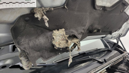 Zdjęcie przedmiotu: Renault Trafic Kombi 2.0 Blue dCi L2 Equilibre