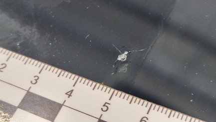 Zdjęcie przedmiotu: ALFA ROMEO Stelvio 2.9 V6 Bi-Turbo Quadrifoglio Q4 aut