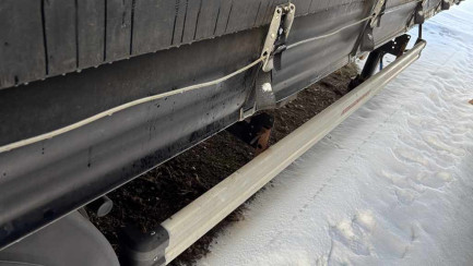 Zdjęcie przedmiotu: KASSBOHRER MEGA Skrzyniowa