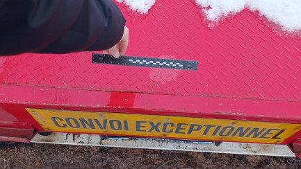 Zdjęcie przedmiotu: WIELTON NS34 39.0t