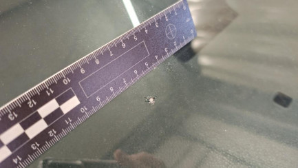 Zdjęcie przedmiotu: Opel Vivaro Long 2.0 CDTI E6d 3.0t Oświadczenie o utracie DR