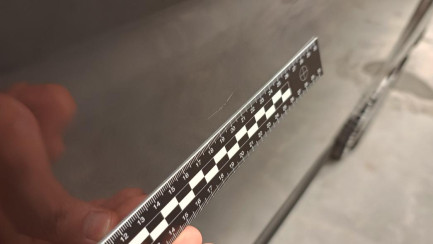 Zdjęcie przedmiotu: Ford Transit Custom 320 2.0 TDCi L1 Trend E6.2 3.2t