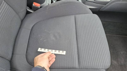 Zdjęcie przedmiotu: Ford Focus 2.0 EcoBlue E6 Titanium