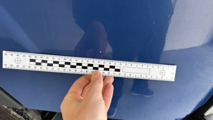 Zdjęcie przedmiotu: Renault T 460 T4x2 Night & Day