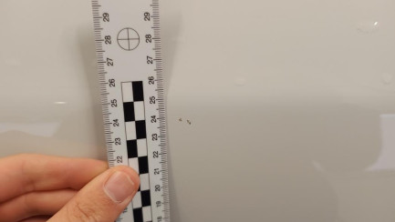 Zdjęcie przedmiotu: Fiat Ducato MAXI HD 2.2 H3-POWER E6.4 3.5t L4H2