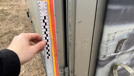 Zdjęcie przedmiotu: WIELTON NS3K Високобортовий