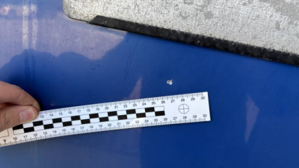 Zdjęcie przedmiotu: Renault T 460 T4x2 Night & Day