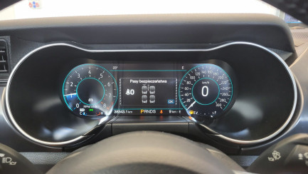 Zdjęcie przedmiotu: Ford Mustang 5.0 V8 Mach 1
