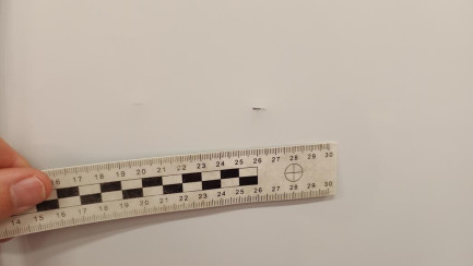 Zdjęcie przedmiotu: Renault Kangoo III Express Maxi dCi Pack Clim Maxi E6 2.2t