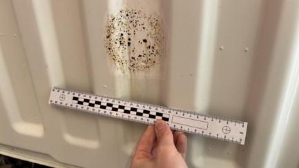 Zdjęcie przedmiotu: Nissan Cabstar E5 3.5t