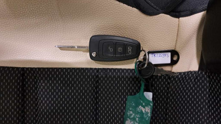 Zdjęcie przedmiotu: BENIMAR TESSORO 495 UP