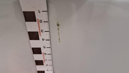 Zdjęcie przedmiotu: Fiat Ducato L3H2 Oświadczenie o utracie DR