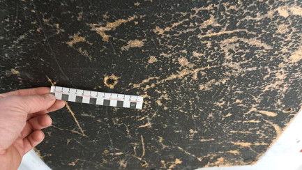 Zdjęcie przedmiotu: Ford Transit Custom 310 2.0 TDCi E6 3.1t L2 Trend