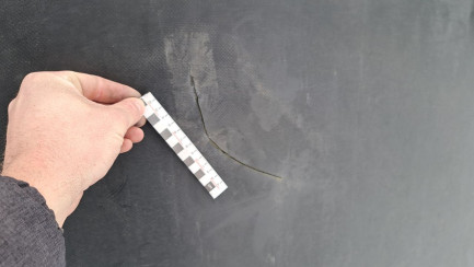 Zdjęcie przedmiotu: KASSBOHRER Mega XS 39.0t 