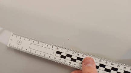 Zdjęcie przedmiotu: Fiat Ducato MAXI HD 2.2 H3-POWER E6.4 3.5t L4H2