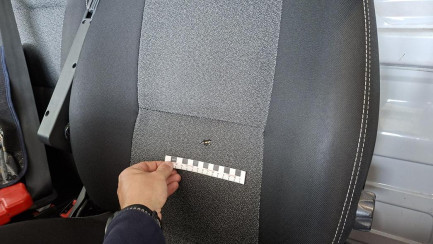 Zdjęcie przedmiotu: FIAT/LAMAR DUCATO MAXI 2.3 M-jet E6d 3.5t L3