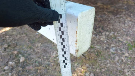 Zdjęcie przedmiotu: WIELTON NS3K Skrzyniowa