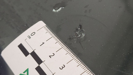 Zdjęcie przedmiotu: BMW 520d xDrive mHEV M Sport sport-aut