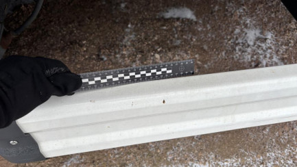 Zdjęcie przedmiotu: KASSBOHRER XS Mega 39.0t