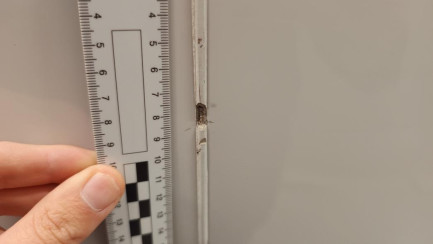 Zdjęcie przedmiotu: Fiat Ducato MAXI HD 2.2 H3-POWER E6.4 3.5t L4H2