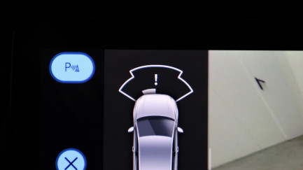 Zdjęcie przedmiotu: Volkswagen Golf VIII 2.0 TSI R 4MOTION DSG