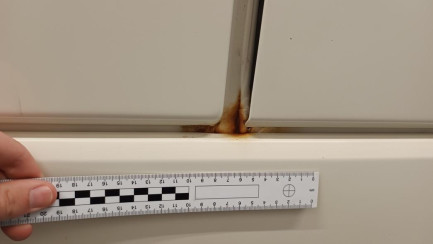 Zdjęcie przedmiotu: DAF XF 480 FT Super Space Cab Low Deck E6 21.0t Oświadczenie o utracie DR