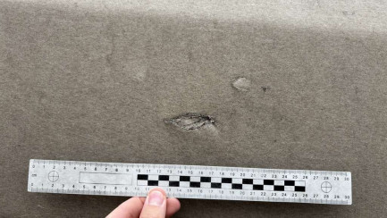 Zdjęcie przedmiotu: LANGENDORF SKS HS 24/30 36.0t