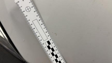 Zdjęcie przedmiotu: Opel Movano Heavy 2.2 Diesel E6.4 3.5t L3H2