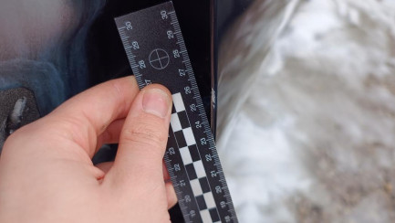 Zdjęcie przedmiotu: Jeep Renegade Umorzenie rejestracji pojazdu