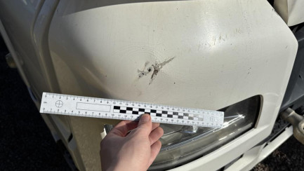 Zdjęcie przedmiotu: MAN TGX E6 18.0t LLS-U(XXL)