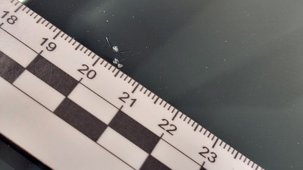 Zdjęcie przedmiotu: Hyundai Elantra 1.6 Smart CVT