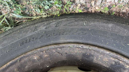 Zdjęcie przedmiotu: WIELTON NS3P