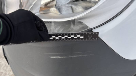 Zdjęcie przedmiotu: Mercedes-Benz 319 Sprinter CDI Aut. E6 3.5t