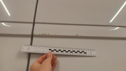 Zdjęcie przedmiotu: Fiat Ducato MAXI HD 2.2 H3-POWER E6.4 3.5t L4H3