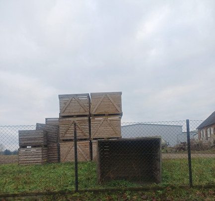 Zdjęcie przedmiotu: 5,500 wooden pallet boxes made of pine, with dimensions of 1600x1200x1240