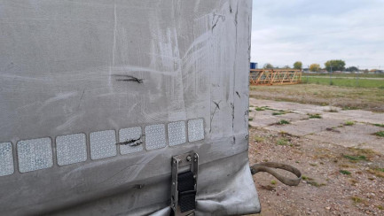 Zdjęcie przedmiotu: FLIEGL SDS 390 35.0t Dropside
