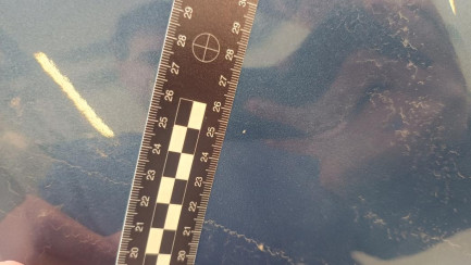 Zdjęcie przedmiotu: Ford Transit Custom 320 2.0 TDCi E6.2 3.3t L2 Trend