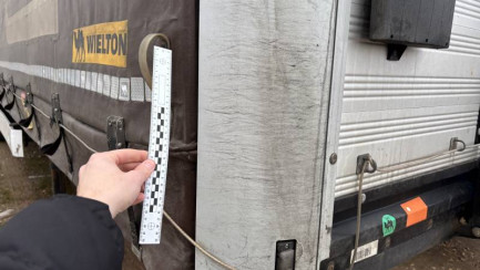 Zdjęcie przedmiotu: WIELTON NS3K Dropside