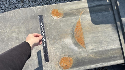 Zdjęcie przedmiotu: ROLFO HERCULES C3 GEGCBEDA 24.0t Заява про втрату реєстраційного свідоцтва