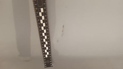 Zdjęcie przedmiotu: Opel Vivaro Long 2.0 CDTI E6d 3.0t Oświadczenie o utracie DR