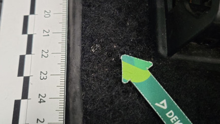 Zdjęcie przedmiotu: Ford Focus 1.0 EcoBoost mHEV ST-Line X Універсал