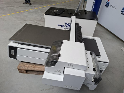 Zdjęcie przedmiotu: PEGASUS AXIS 5TH PE3 6090 UV printer