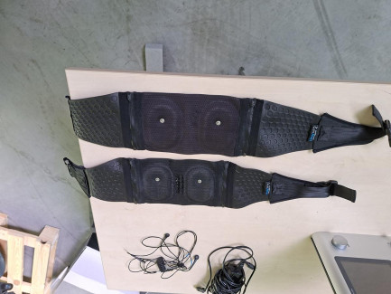Zdjęcie przedmiotu: MIHA BODYTEC II muscle electrostimulation device