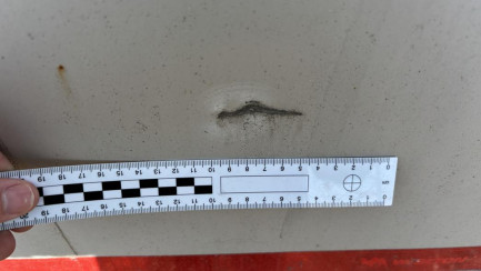 Zdjęcie przedmiotu: WIELTON NS3K