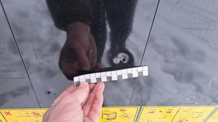 Zdjęcie przedmiotu: KASSBOHRER MEGA 39.0t Високобортовий