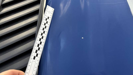 Zdjęcie przedmiotu: Renault T 460 T4x2 Night & Day